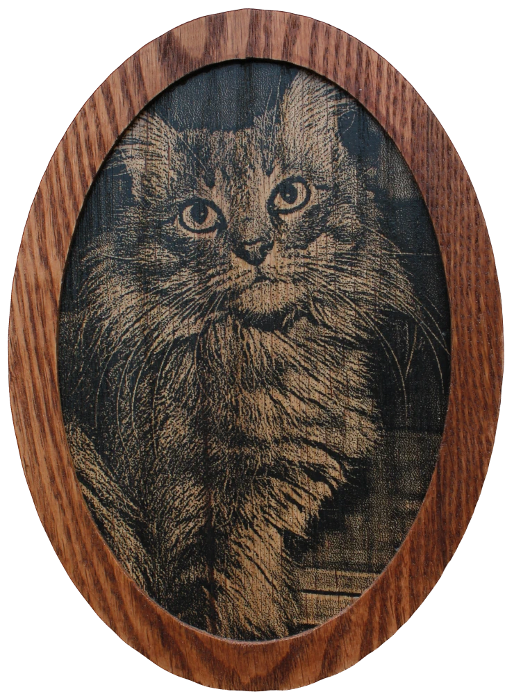 Framed Engraving